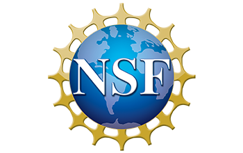 Our lab receives an NSF CAREER award!